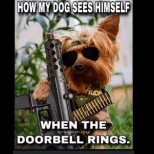 Meet the Posher!!!🇺🇸..... Posh Ambassador.